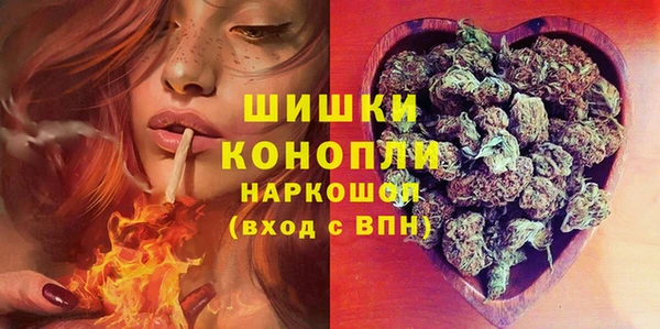 прущие грибы Навашино