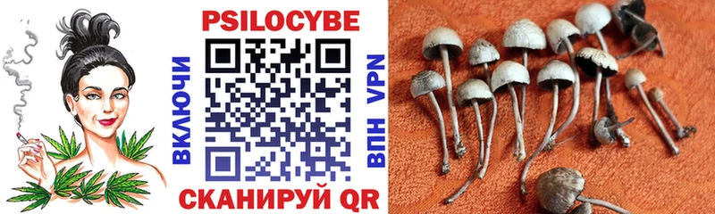 Галлюциногенные грибы Cubensis  как найти закладки  Екатеринбург 