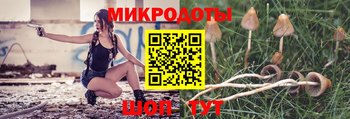 Галлюциногенные грибы прущие грибы Екатеринбург