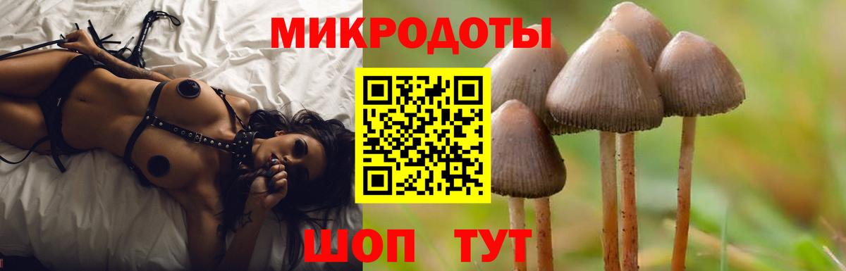 Псилоцибиновые грибы прущие грибы  Вход с VPN  Галлюциногенные грибы Psilocybine cubensis  Екатеринбург 